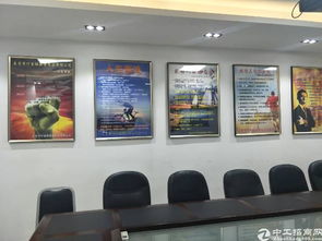 虎門鎮(zhèn)文藝創(chuàng)作新地標(biāo) 超豪華辦工廠房整體出租